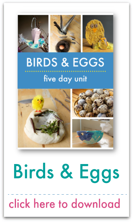 birds and eggs unit