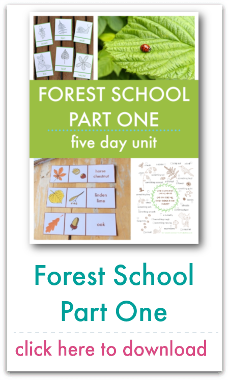 forest school unit part one