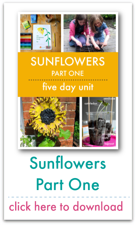 sunflowers unit part 1