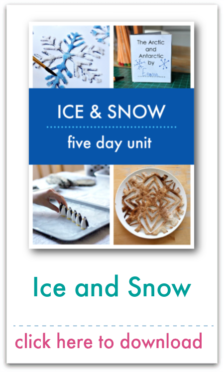 ice and snow five day unit