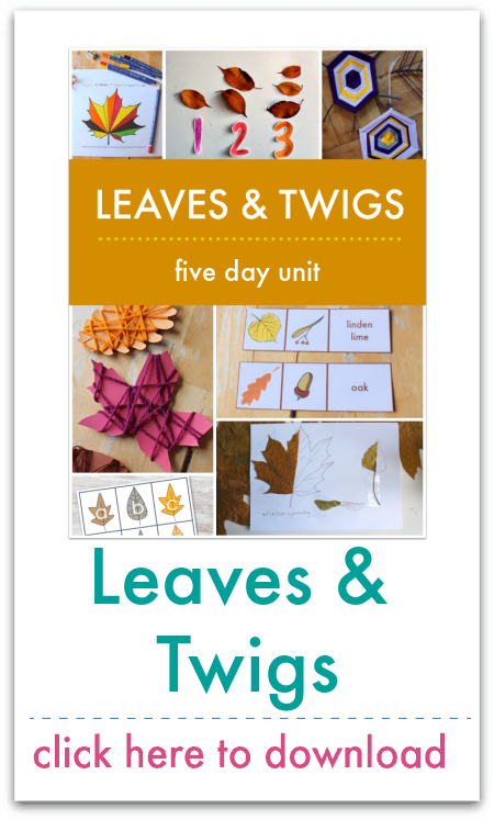 leaves and twigs unit