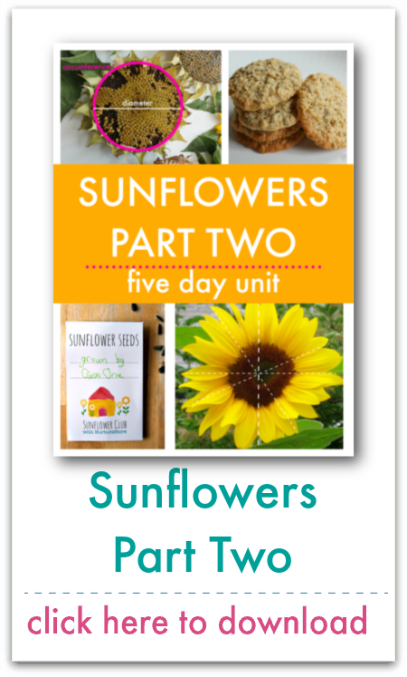sunflowers unit part two